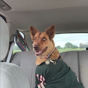 Meet your Posher, Jackie